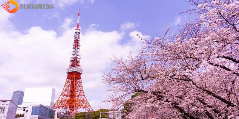 Tham quan tháp Tokyo