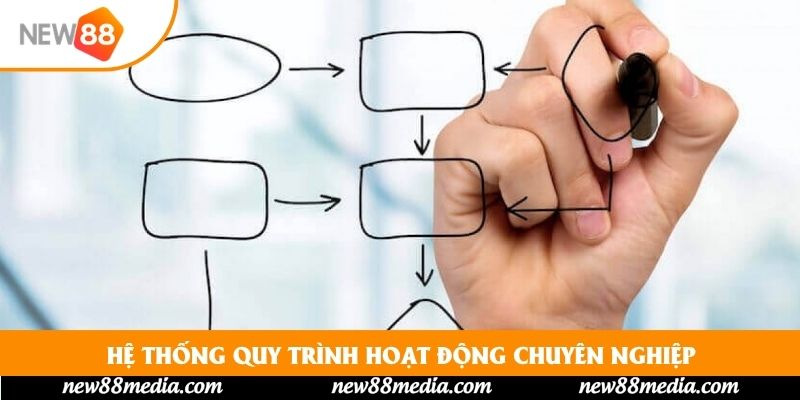 Hệ thống quy trình hoạt động chuyên nghiệp