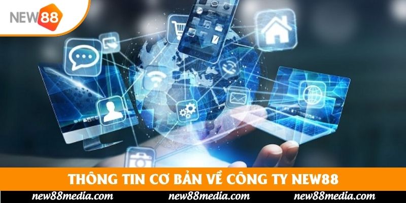 Thông tin cơ bản về công ty New88